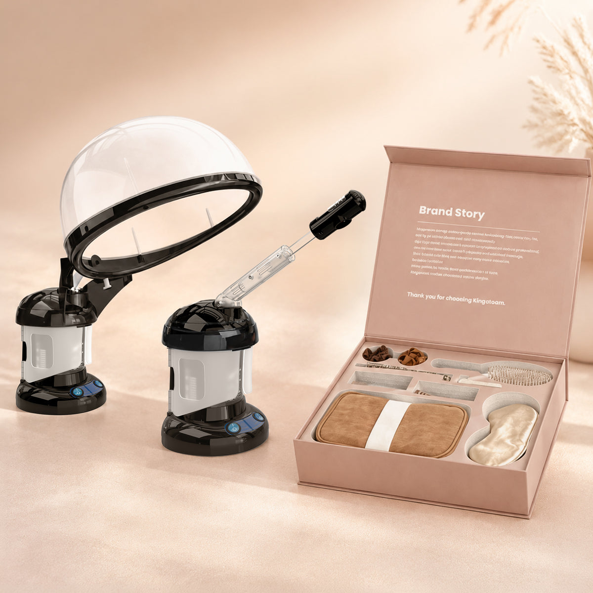 2 in 1 Hair and Facial Steamer & Care Ritual Kit
