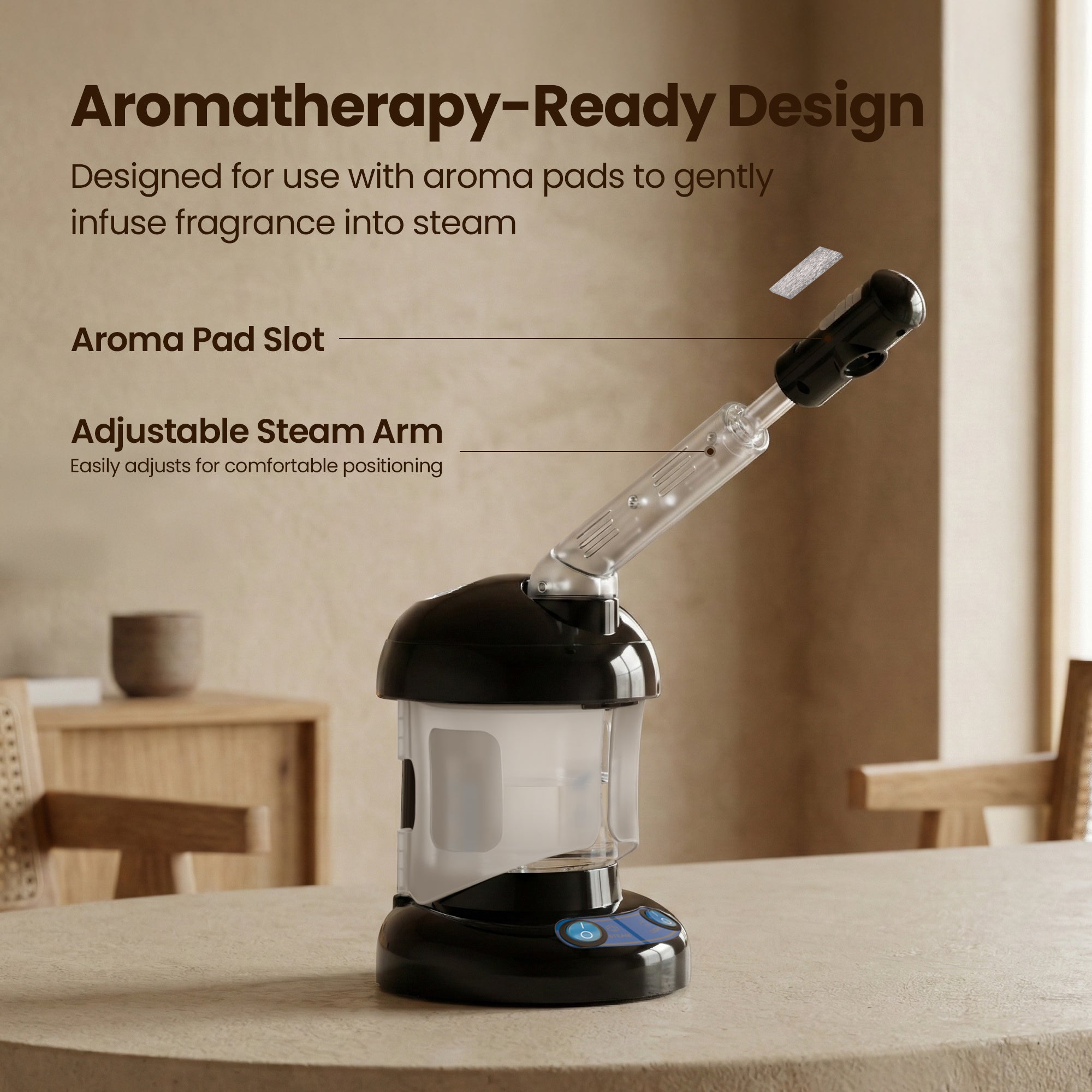 2 in 1 Hair and Facial Steamer